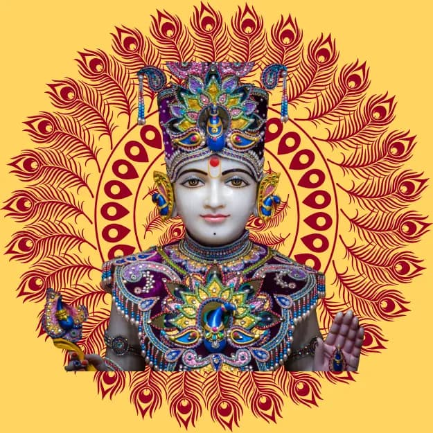 Vishnu Chalisa का कवर